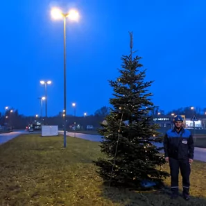 Weihnachtsbaum in Wilhelmshaven